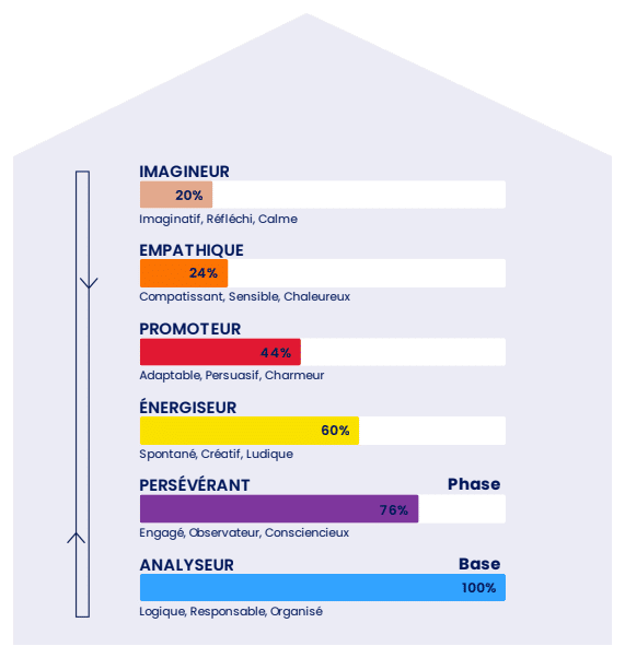 Immeuble PCM : exemple de structure de personnalité en 6 types — Analyseur, Persévérant, Empathique, Imagineur, Énergiseur, Promoteur